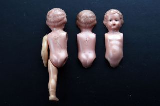 Zwei Alte Schildkröt - Puppen 8,  Körper Ohne Gliedmaßen (nur Ein Arm Und Ein Bein) Bild