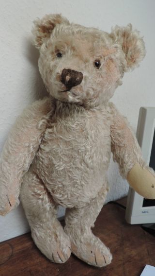 Steiff,  Bär,  Teddy,  Teddybär,  Teddy,  50 Cm,  Caramel,  50er Jahre Bild