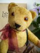 Putziger Alter Kleiner Teddy BÄr,  26 Cm,  1930er Jahre Stofftiere & Teddybären Bild 1
