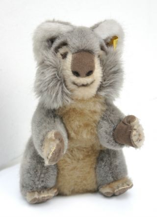 Koala - Bär 