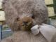 Großer,  Sehr Alter Teddy,  Teddybär,  Bär Mit Brummstimme,  Imposant Stofftiere & Teddybären Bild 1