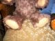 Fröhlicher,  50cm Großer,  Alter Teddybär - Zotty - Typ Aus Den 60ziger Jahren Stofftiere & Teddybären Bild 4