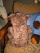 Fröhlicher,  50cm Großer,  Alter Teddybär - Zotty - Typ Aus Den 60ziger Jahren Stofftiere & Teddybären Bild 6