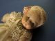 Antike Puppe Mädchen Mit Gans,  Blonde Porzellankopfpuppen Bild 4