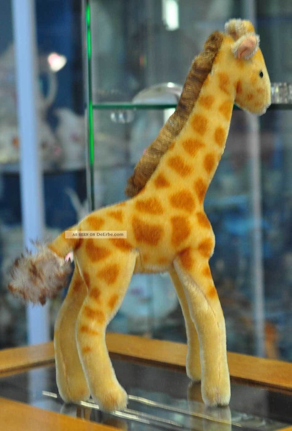 Süsse Steiff Giraffe Aus Den 60ern Sucht Neues Zuhause
