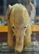 Süsser Alter/junger Kleiner Steiff Elefant Aus Den 60ern Sucht Neues Zuhause Stofftiere & Teddybären Bild 1