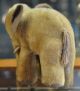 Süsser Alter/junger Kleiner Steiff Elefant Aus Den 60ern Sucht Neues Zuhause Stofftiere & Teddybären Bild 3