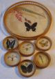 50er 60er : Tablett,  6 Glas - Untersetzer Schmetterlinge Butterfly Rattan Shabby 1960-1969 Bild 1