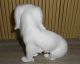 Max Roessler Jugendstil Art Deco Keramik Figur Hund Tempelhund King Charles 1920-1949, Art Déco Bild 2