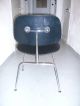 Plywood Chair Dcm Von Vitra,  Design Charles Eames 1946,  Esche Schwarz 1960-1969 Bild 2