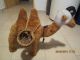 Kamel Stofftiere & Teddybären Bild 2