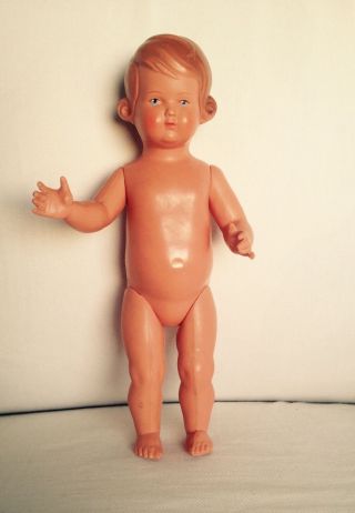 Puppe Schildkröt Bild