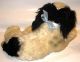 Steiff Cockie Cocker Spaniel Hund Kuscheltier Mit Schild 50/60er Jahre Ca.  37cm Tiere Bild 2