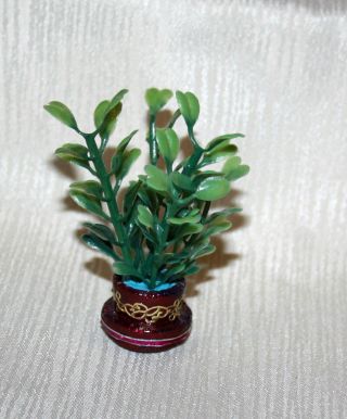 Dekoration,  Grünpflanze Für Die Puppenstube Bild