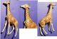 Lineol Elastolin Tiere Konvolut Massefiguren Afrika Giraffe 2 Gefertigt vor 1945 Bild 1