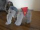 Kleiner Mohairelefant Aus Der Schuco - Arche - Serie, Stofftiere & Teddybären Bild 2