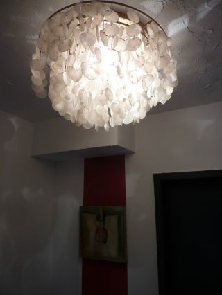 Panton - Muschelplättchen Lampe Fun - Perlmut - Design - Ingo Maurer Bild