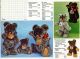 Steiff Katalog 1972 - Knopf Im Ohr - Programm ' 72 Spielzeug-Literatur Bild 1