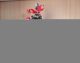 Weihnachtsbaum Für Die Puppenstube - Ca.  20 Cm (rot) Puppenstuben & -häuser Bild 3