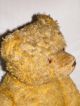 Alter Bär / Teddybär Stofftiere & Teddybären Bild 4