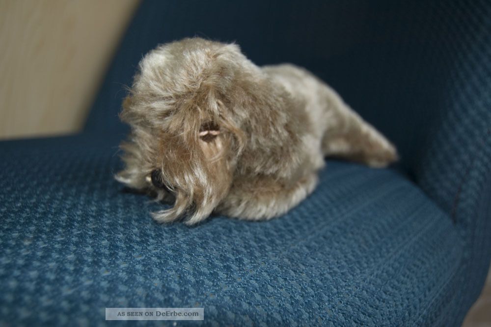 alter steiff hund liegender dackel