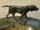 Visitenkartenschale,  Granit Mit Hund,  Jagdhund,  Wiener Bronze Bronze Bild 1