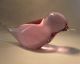 Murano Seltener Vogel Von Livio Seguso Signiertes Top Rare Colour Glas & Kristall Bild 1