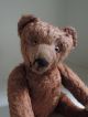 Bing,  Bär,  Teddy,  Teddybär,  Antik,  Um 1920,  Vorkrieg Stofftiere & Teddybären Bild 7