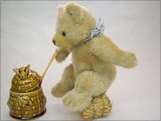 Seltener 22cm Steiff WeichbÄr Orsi Teddy Old Rare Soft Bear Orsi 8,  66 Inch Bild