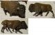 Lineol Elastolin Tiere Massefiguren Bison Büffel C Gefertigt vor 1945 Bild 2