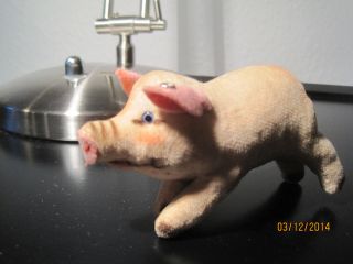 Steiff Schwein Hausschwein Ca 10 Cm Lang - Ca 45 Jahre Alt Bild