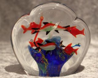 Murano Glas - Aquarium - Briefbeschwerer - Fische Bild