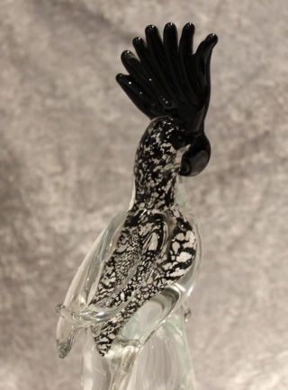 Murano Glas - Vetreria G.  Campanella - Vogel Paradiesvogel - Schwarz Silber - Bild