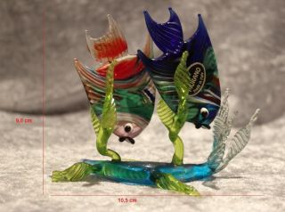Murano Glas - Filigrane Fische - Wie Im Aquarium Bild