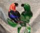 Murano Glas - Papageienpaar Papagei - Vogel - 1867 Gramm Glas & Kristall Bild 5