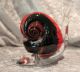 Murano Glas - V.  Nason & C.  - Schwere Schnecke - 2,  07 Kg - Selten Glas & Kristall Bild 2