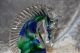 Murano Glas - Pferd Hengst Pferdekopf - Blau Grün - Glas & Kristall Bild 3