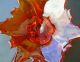 Muranoglas Prachtvolle Schale Mit 6 Spitzen Zipfelschale Mundgeblasen 30 Cm Glas & Kristall Bild 6