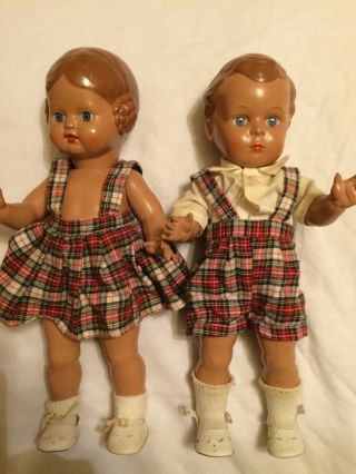 Schildkröt Puppen Paar Bild