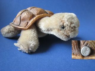 Steiff Schildkröte Turtle - 14cm Bild