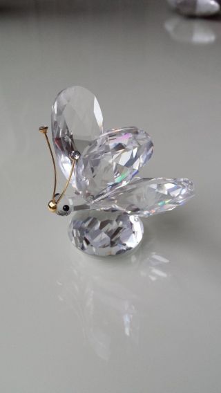 Swarowski Kristallfigur Schmetterling Bild