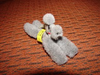 Alter Orginal Steiff Miniatur Pudel - Hund Mit Knopf Und Fahne Bild