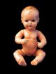 Schildkröt Baby Puppe 35,  Mit Stimme Schildkröt Bild 5