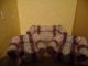Puppenstubenmöbel Sofa Mit 2 Sesseln Und Püppchen Nostalgieware, nach 1970 Bild 5