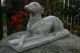 Windhund,  Barsoi; Saluki Klassische Skulptur,  Steinguss Weihnachts - Rabatt - Aktion Nostalgie- & Neuware Bild 9