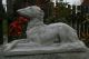 Windhund,  Barsoi; Saluki Klassische Skulptur,  Steinguss Weihnachts - Rabatt - Aktion Nostalgie- & Neuware Bild 7