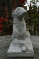 Windhund,  Barsoi; Saluki Klassische Skulptur,  Steinguss Weihnachts - Rabatt - Aktion Nostalgie- & Neuware Bild 8