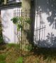 Steck Zaunelement Rankgitter Mit Gelenk Gartenzaun Eisen Antik Garten Zaun Nostalgie- & Neuware Bild 4