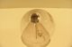 Osram Glühlampe Kohlefadenlampe Drp Metallfaden 12k/12v Um 1900 - 1915 Original, vor 1960 gefertigt Bild 1