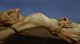 Antikes Kruzifix Christus Aus Bein In Geschnitztem Holzrahmen Beinarbeit 18.  Jhdt Beinarbeiten Bild 6